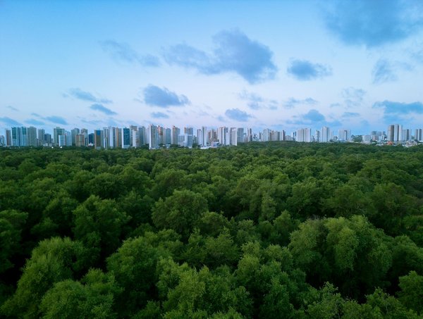 Les Enjeux Modernes de l'Intégration des Immigrants dans la Société Actuelle