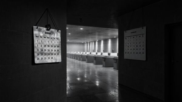 Guide ultime sur les étapes et délais de la crémation